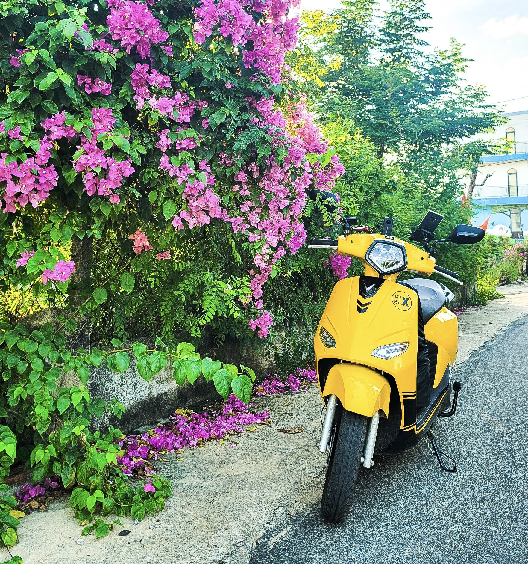 "Đấu Trường" VinFast: Vento Neo vs Vento S - Bạn Chọn Xe Điện?